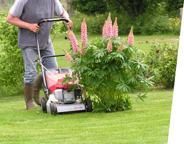 formule-travaux-jardinage-2